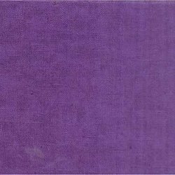 Dark Purple - Echino Solid - Canvas